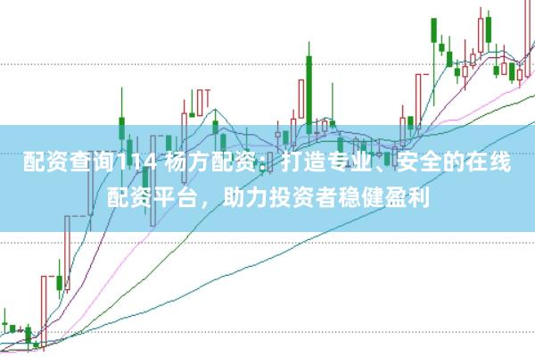 配资查询114 杨方配资：打造专业、安全的在线配资平台，助力投资者稳健盈利