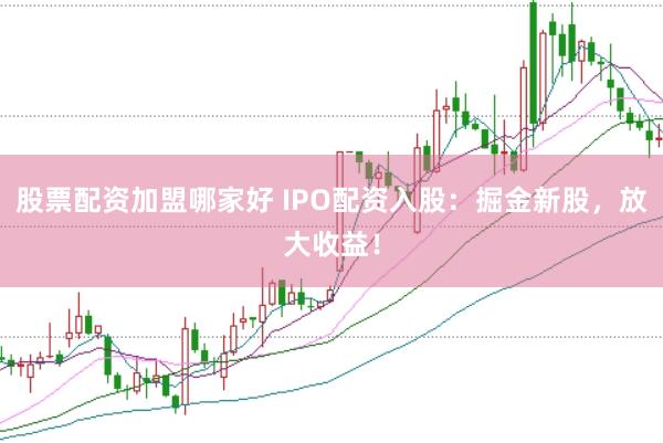 股票配资加盟哪家好 IPO配资入股：掘金新股，放大收益！