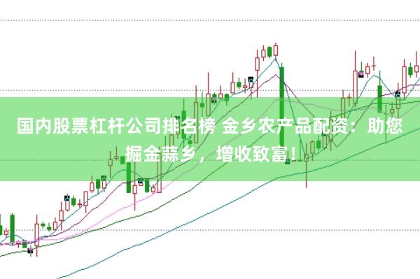 国内股票杠杆公司排名榜 金乡农产品配资:助您掘金蒜乡,增收致富!