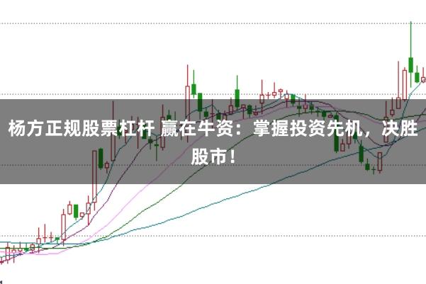杨方正规股票杠杆 赢在牛资：掌握投资先机，决胜股市！