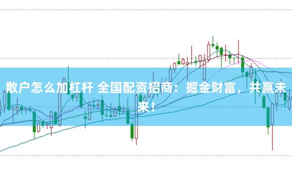 散户怎么加杠杆 全国配资招商：掘金财富，共赢未来！