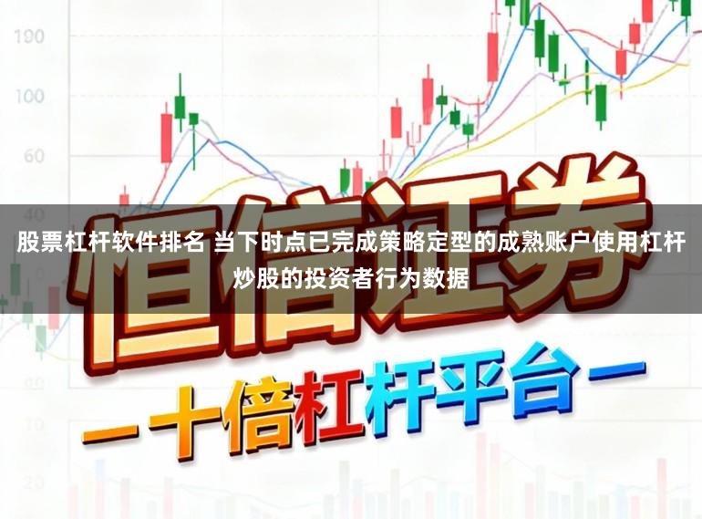 股票杠杆软件排名 当下时点已完成策略定型的成熟账户使用杠杆炒股的投资者行为数据
